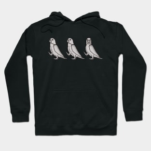 Marching Birdo's v1 Hoodie